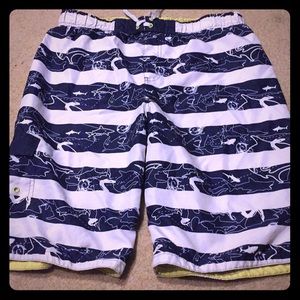 striped shark swim shorts